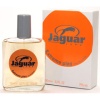 Туалетная вода Jaguar Extreme Play (Ягуар Экстрим Плэй)100мл мужская арт.15532