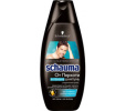 Шампунь 380мл Шаума от перхоти интенсив мужской (20)