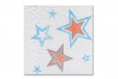 Салфетки бумажные Семья и комфорт 100шт звезда(48)
